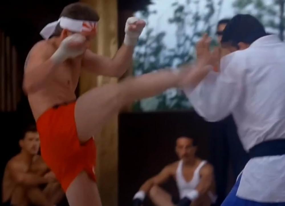 キックボクサー4の画像