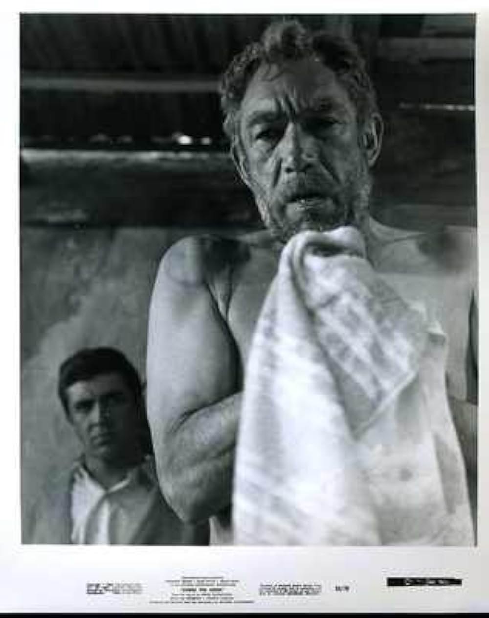 その男ゾルバの画像