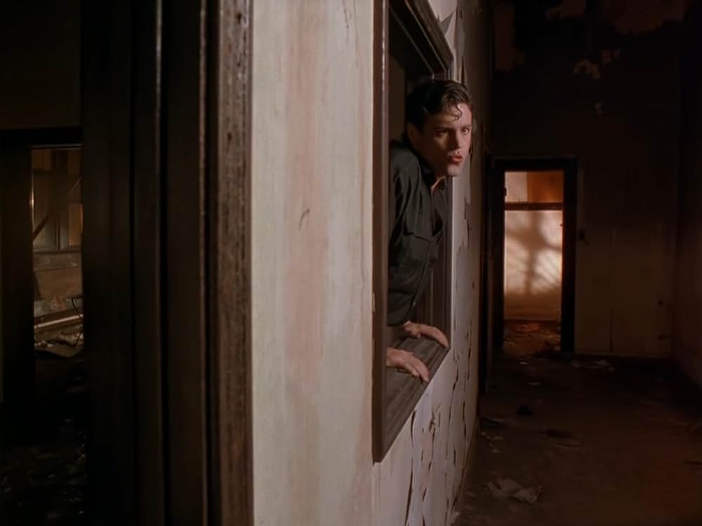 アメリカン・バイオレンスの画像