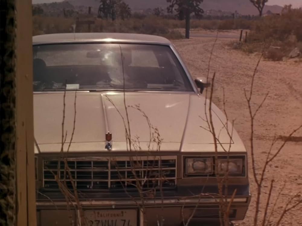 アメリカン・バイオレンスの画像