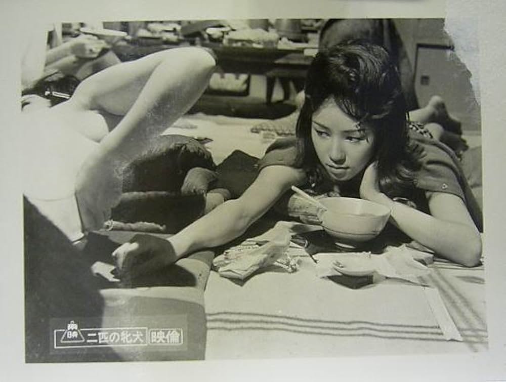 二匹の牝犬の写真