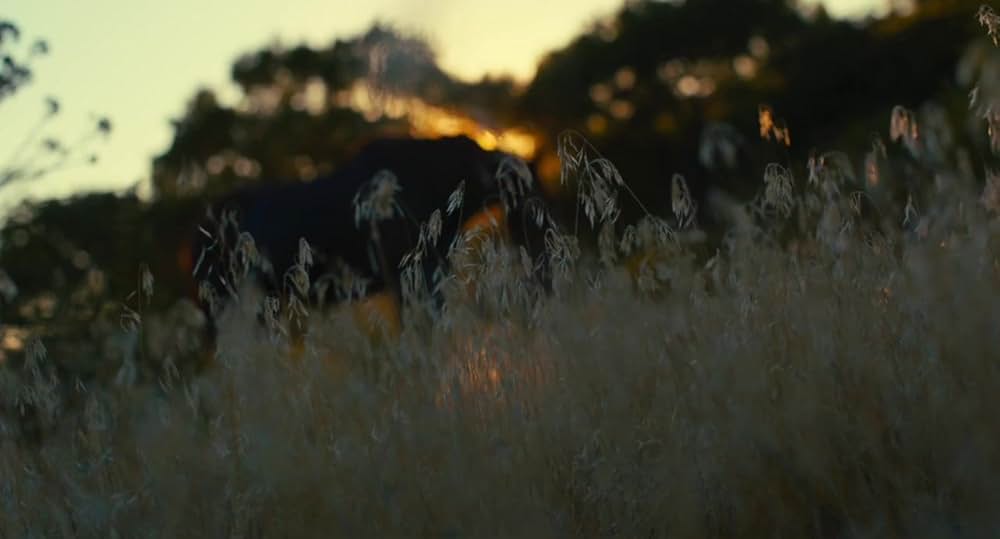 エレクトリック・チルドレンの画像