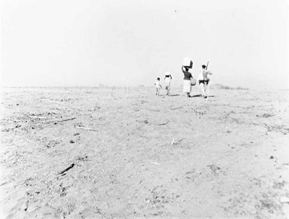 乾いた人生の画像