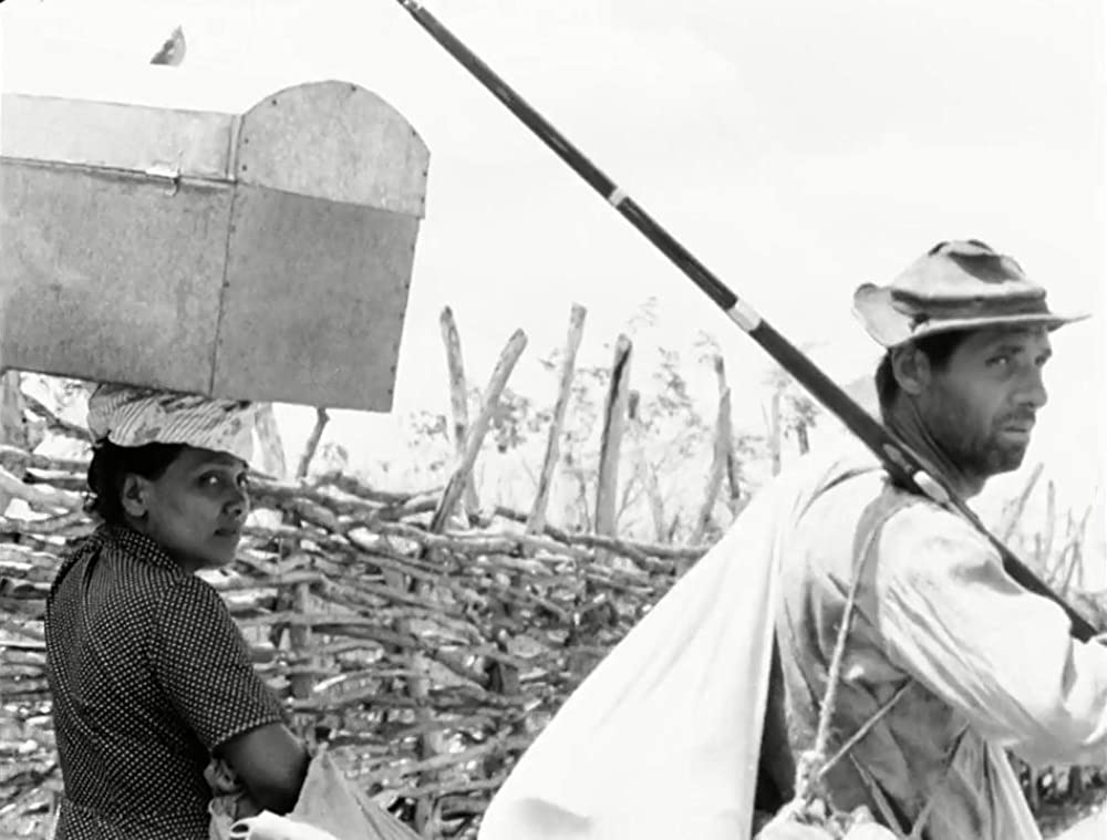 乾いた人生の画像