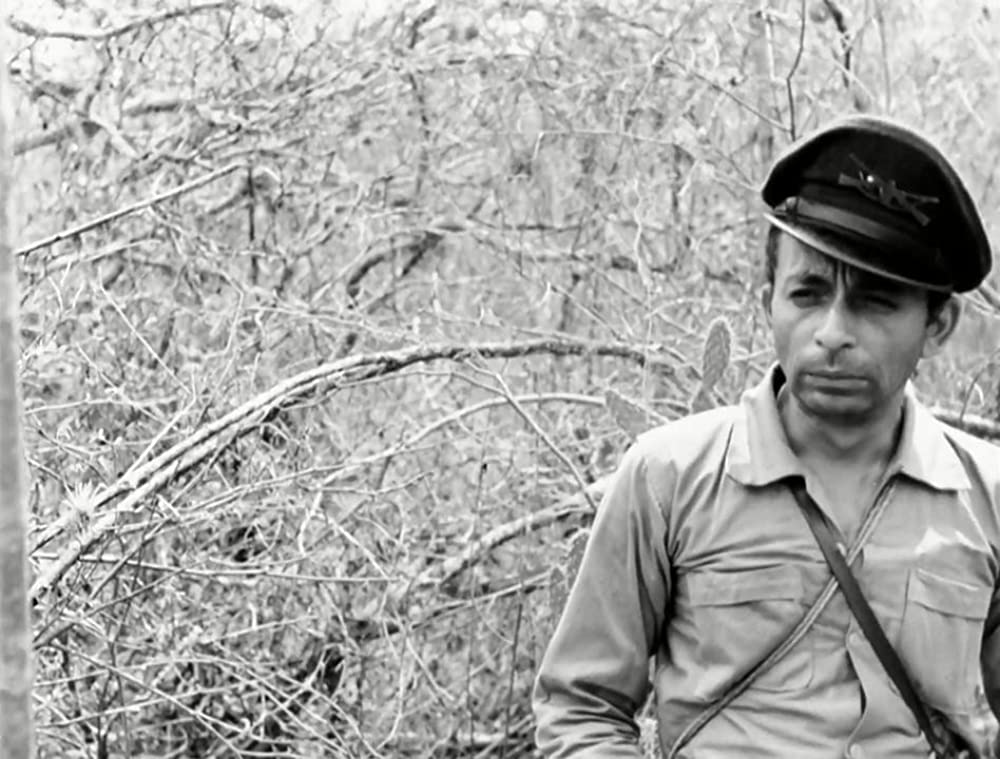 乾いた人生の画像