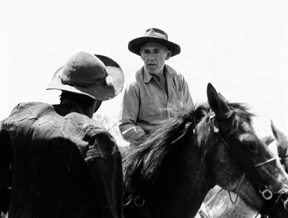 乾いた人生の画像