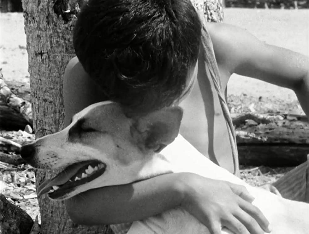 乾いた人生の画像