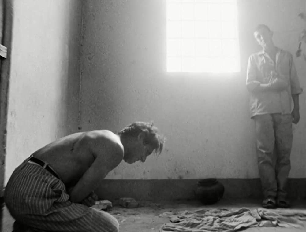 乾いた人生の画像