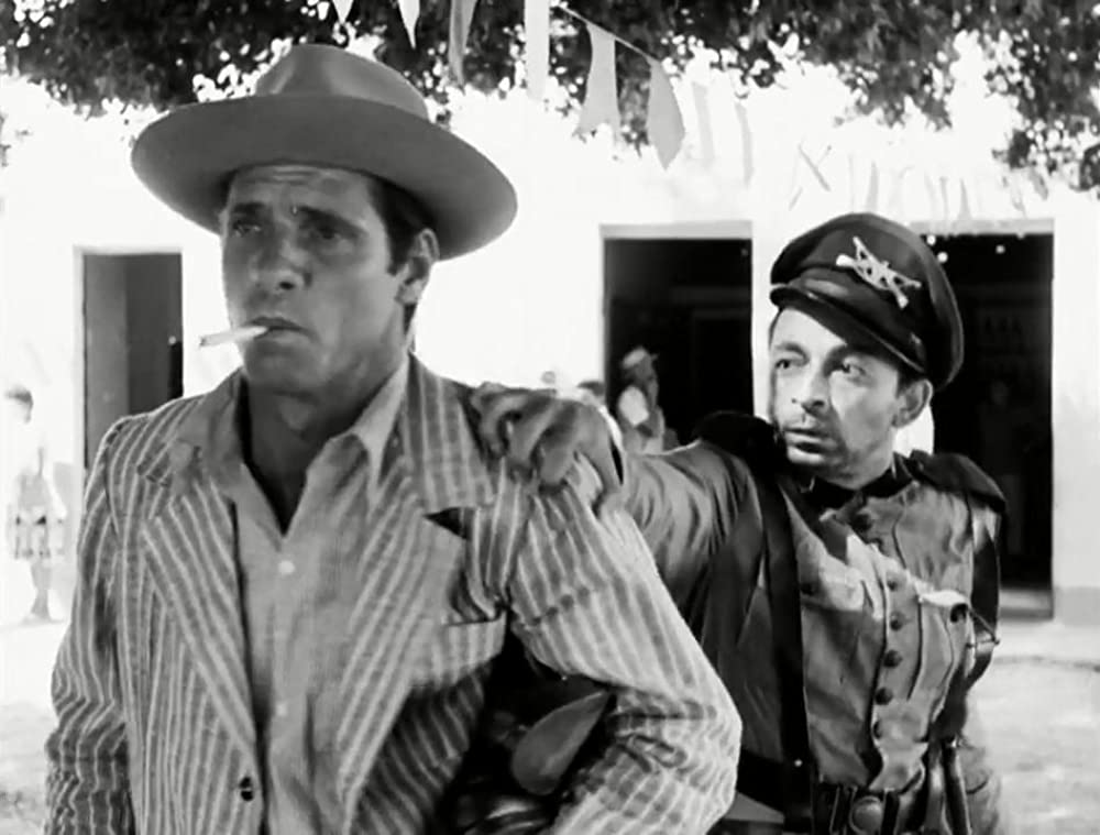 乾いた人生の画像