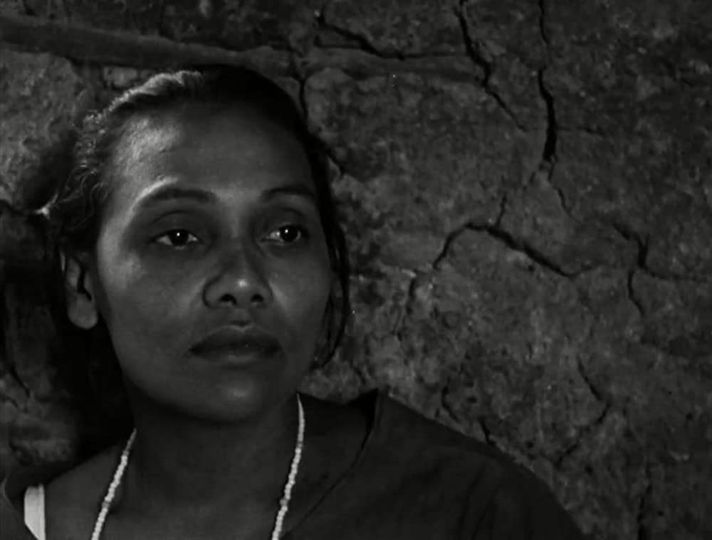 乾いた人生の画像