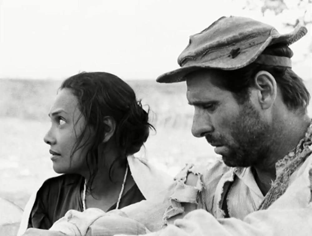 乾いた人生の画像