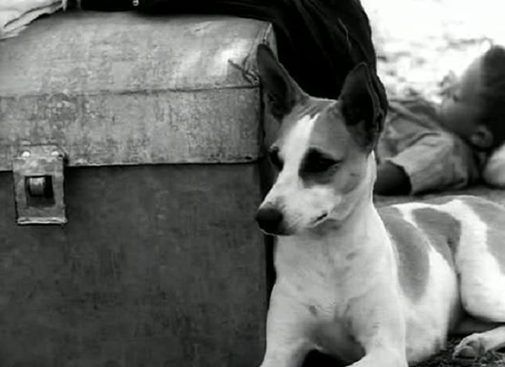 乾いた人生の画像