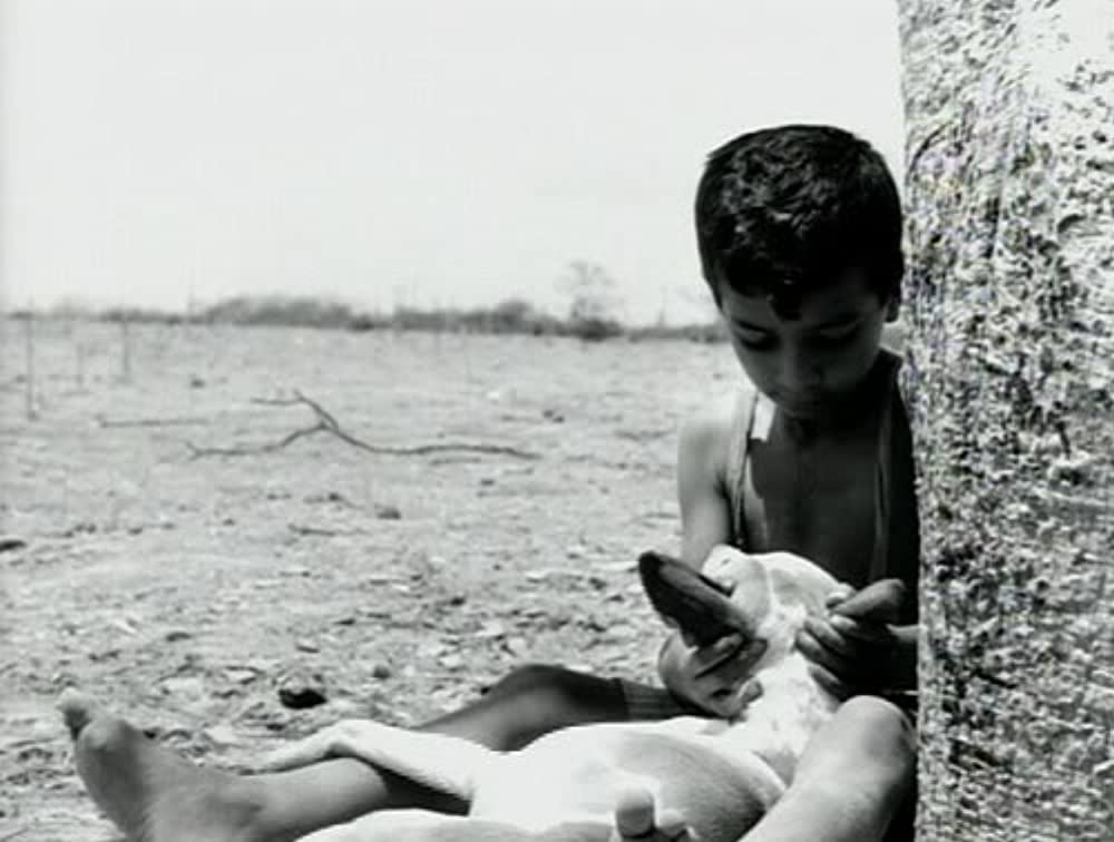 乾いた人生の画像