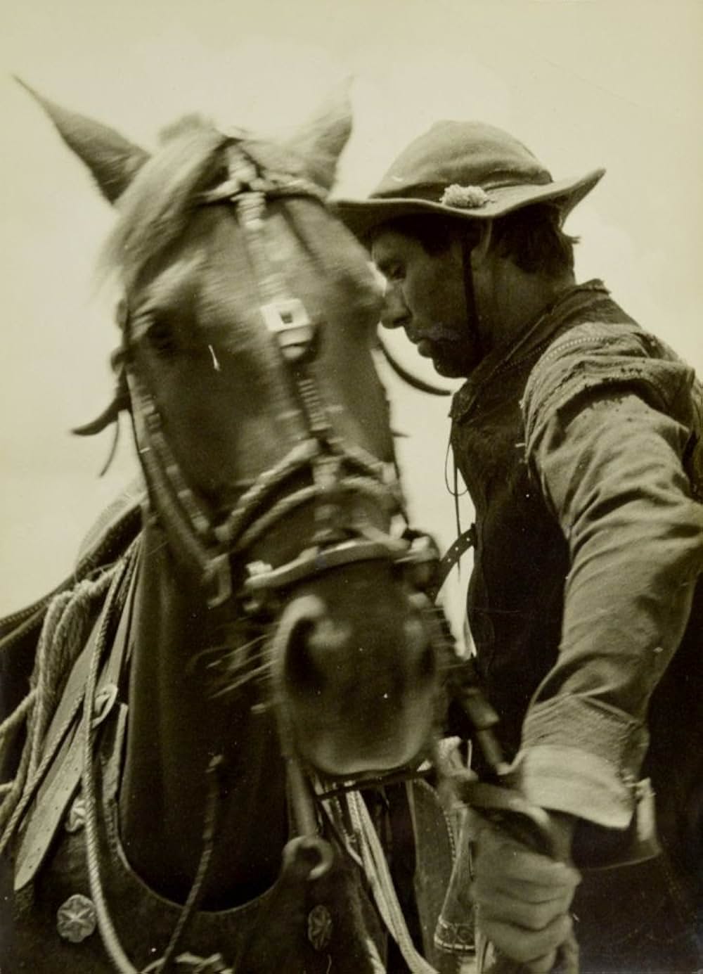 乾いた人生の画像