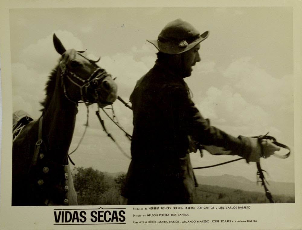 乾いた人生の画像