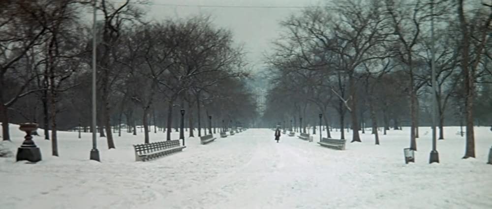 マリアンの友だちの画像