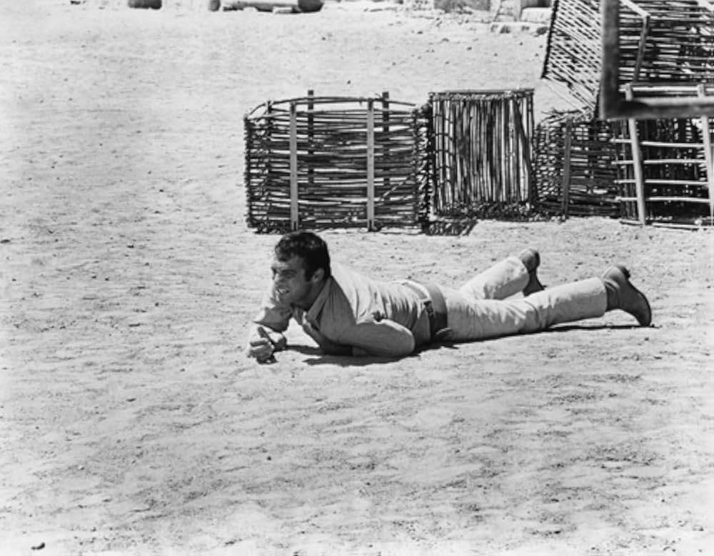 ブラック・オア・ホワイト（原題）の画像