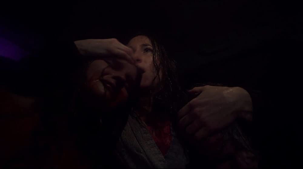 「ヴィジット」キャスリン・ハーン & オリビア・デヨングの画像