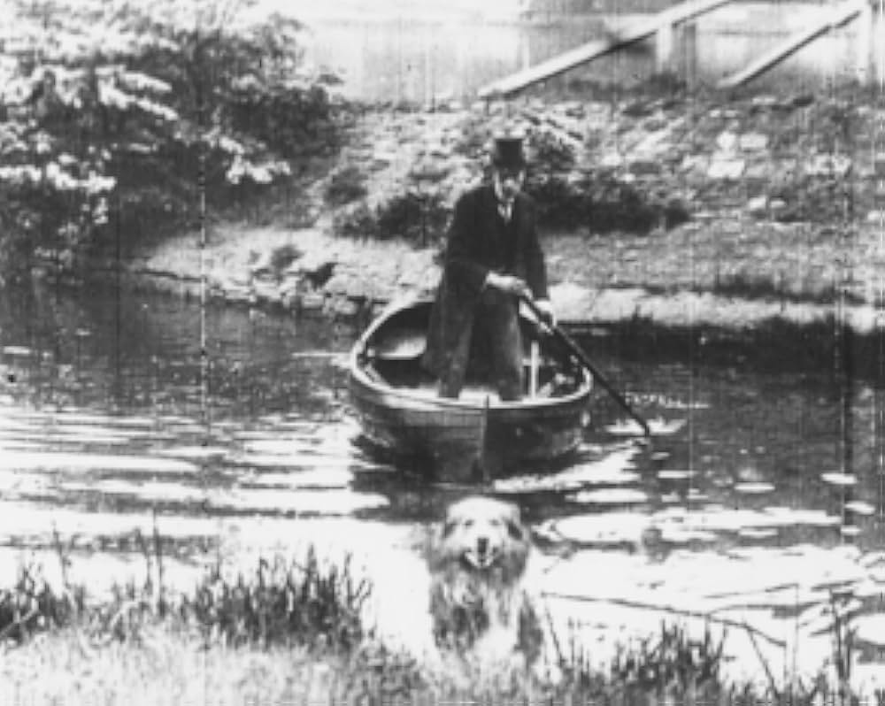 ローバーによる救出の画像