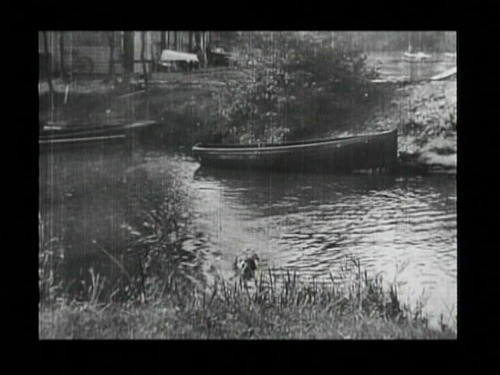 ローバーによる救出の画像