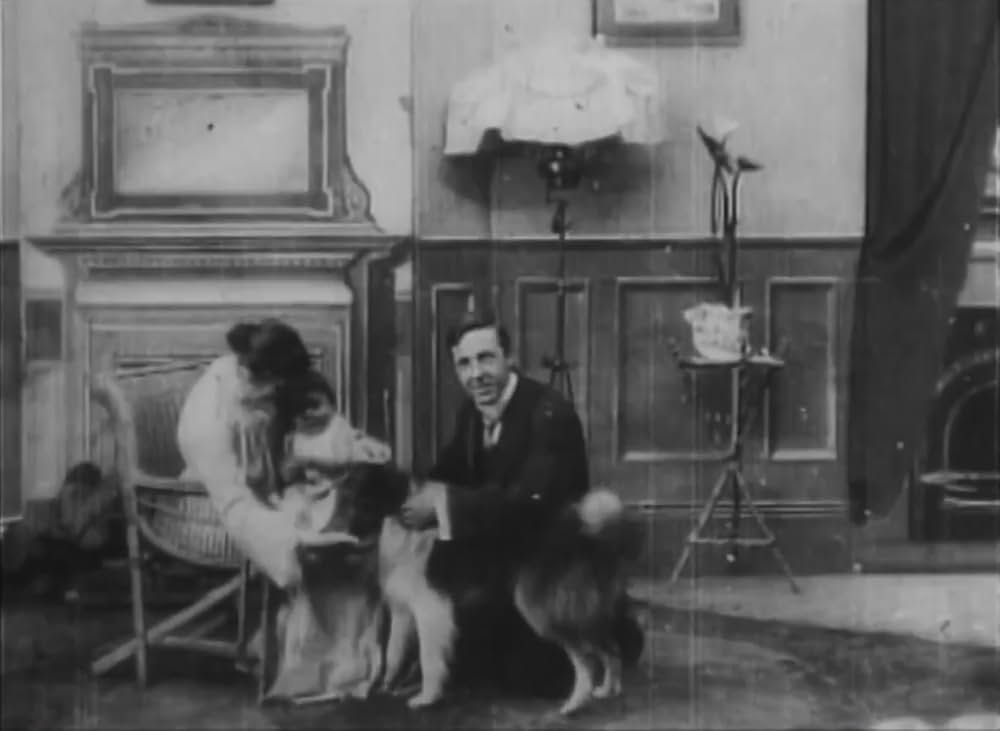 ローバーによる救出の写真