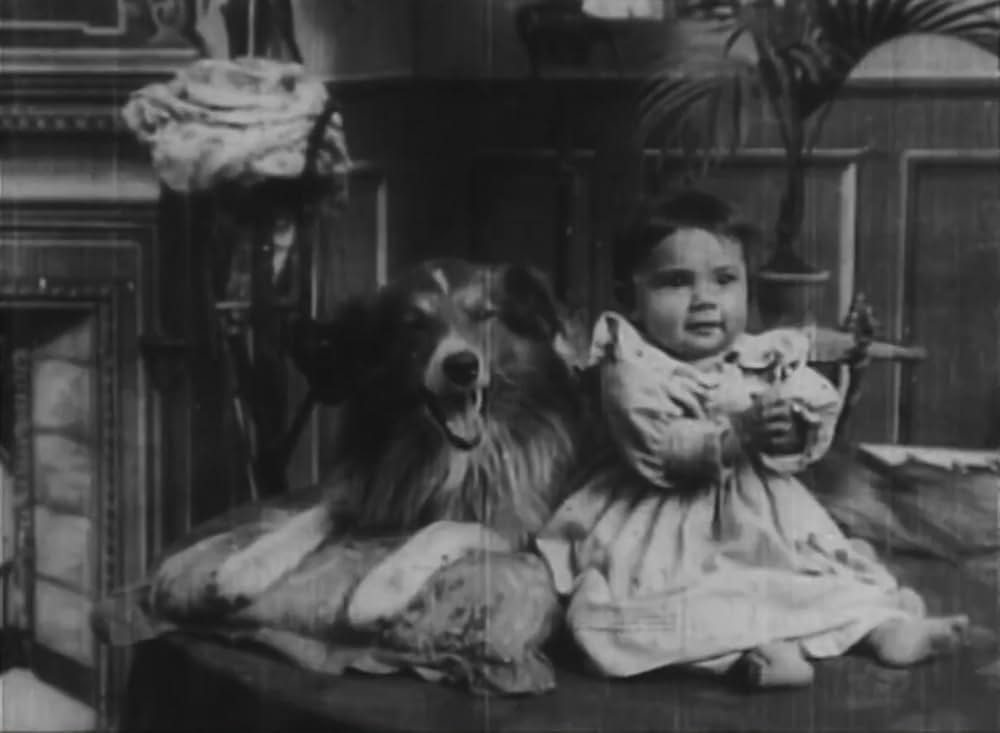 ローバーによる救出の画像