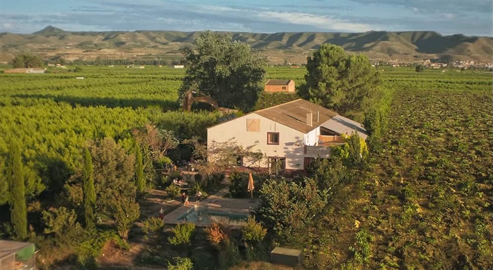 太陽と桃の歌の画像