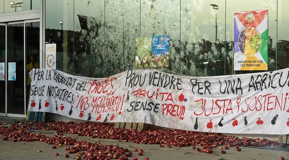 太陽と桃の歌の画像