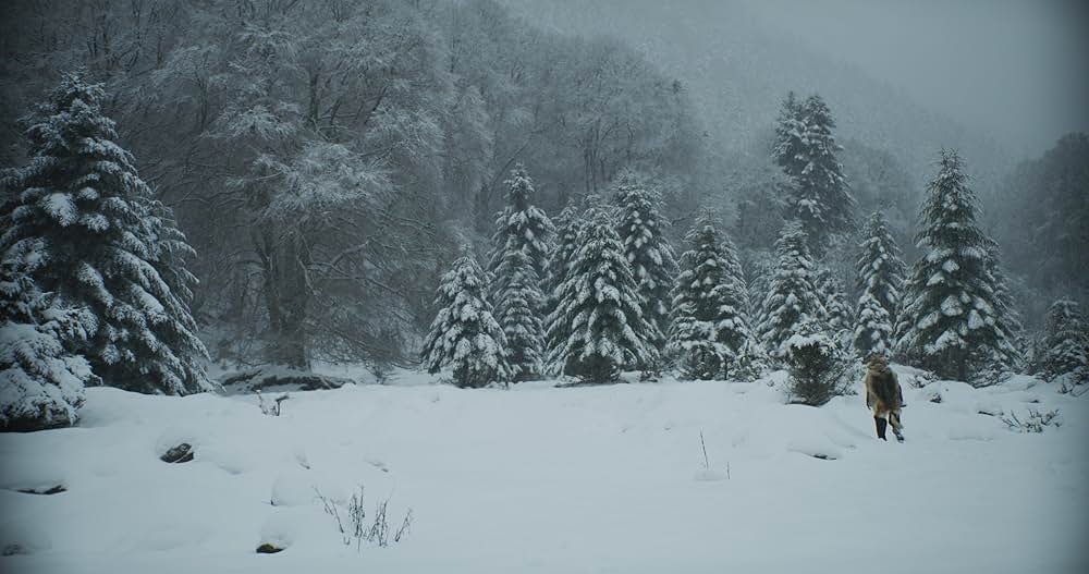 Autonomous 自律の画像