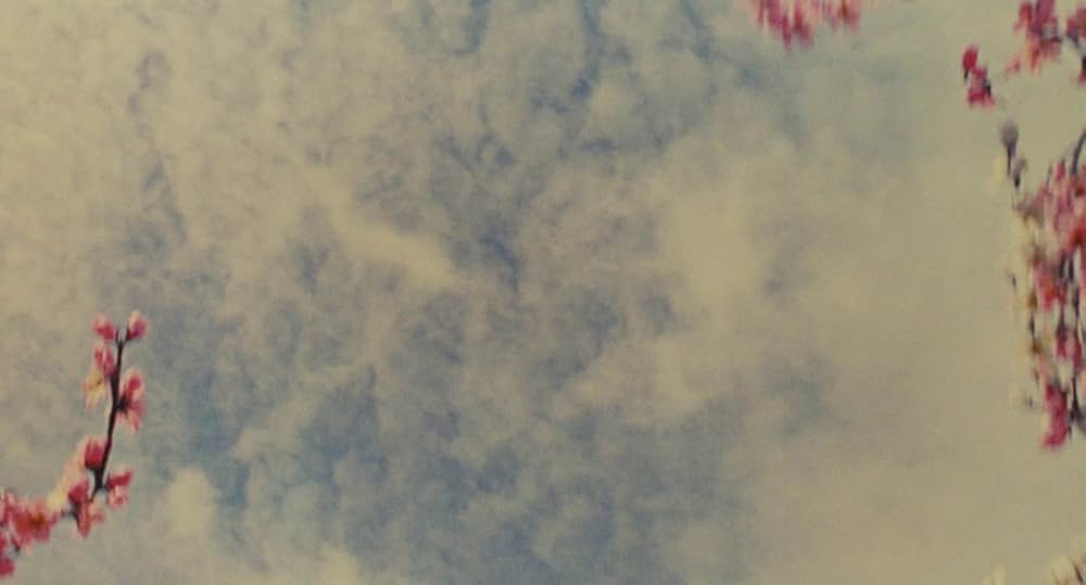 シェルブールの雨傘の画像