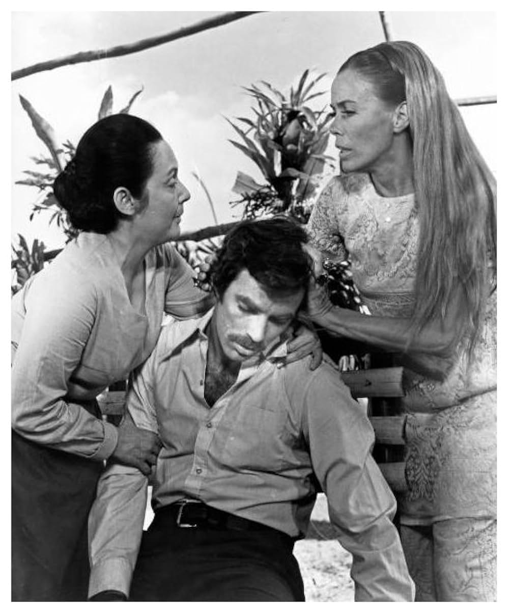 悪魔の娘たちの画像