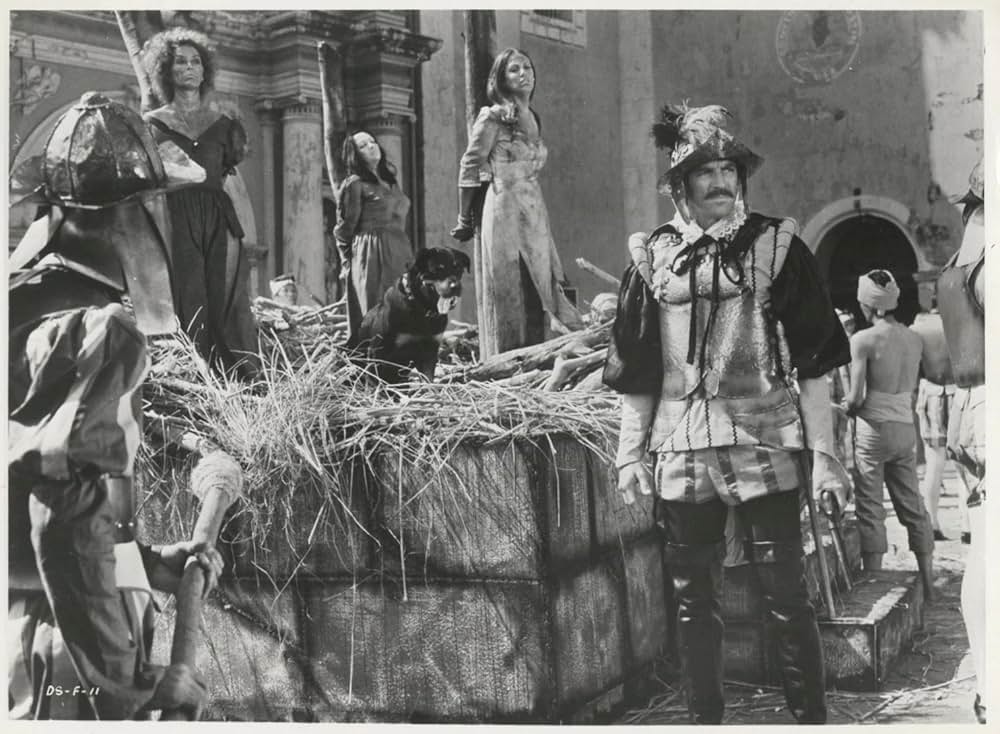 悪魔の娘たちの画像