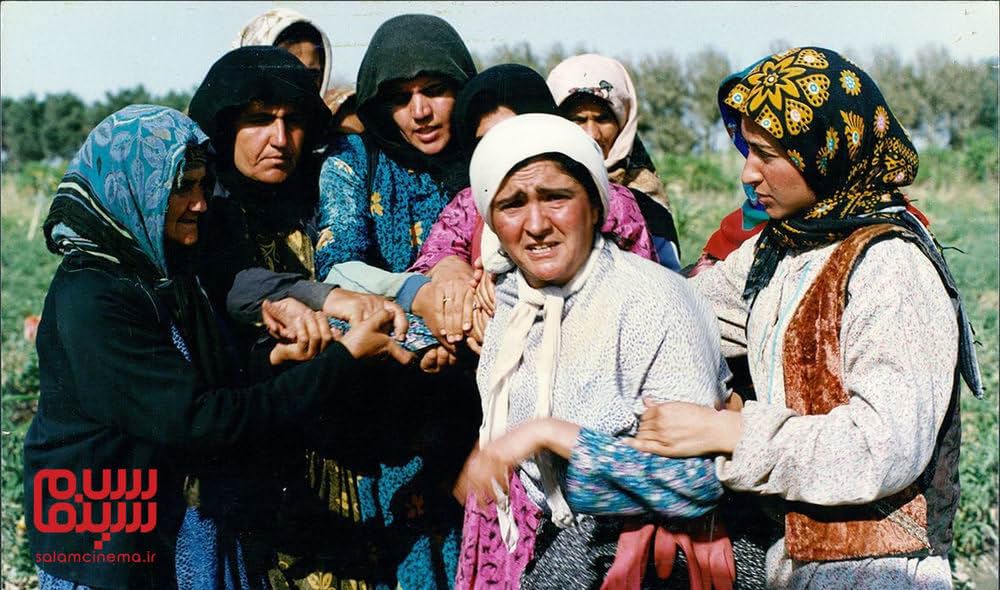 青いベールの画像