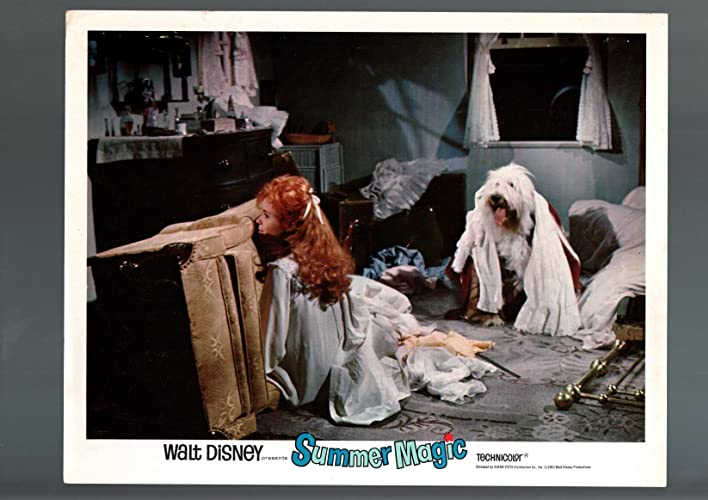 夏の魔術の画像