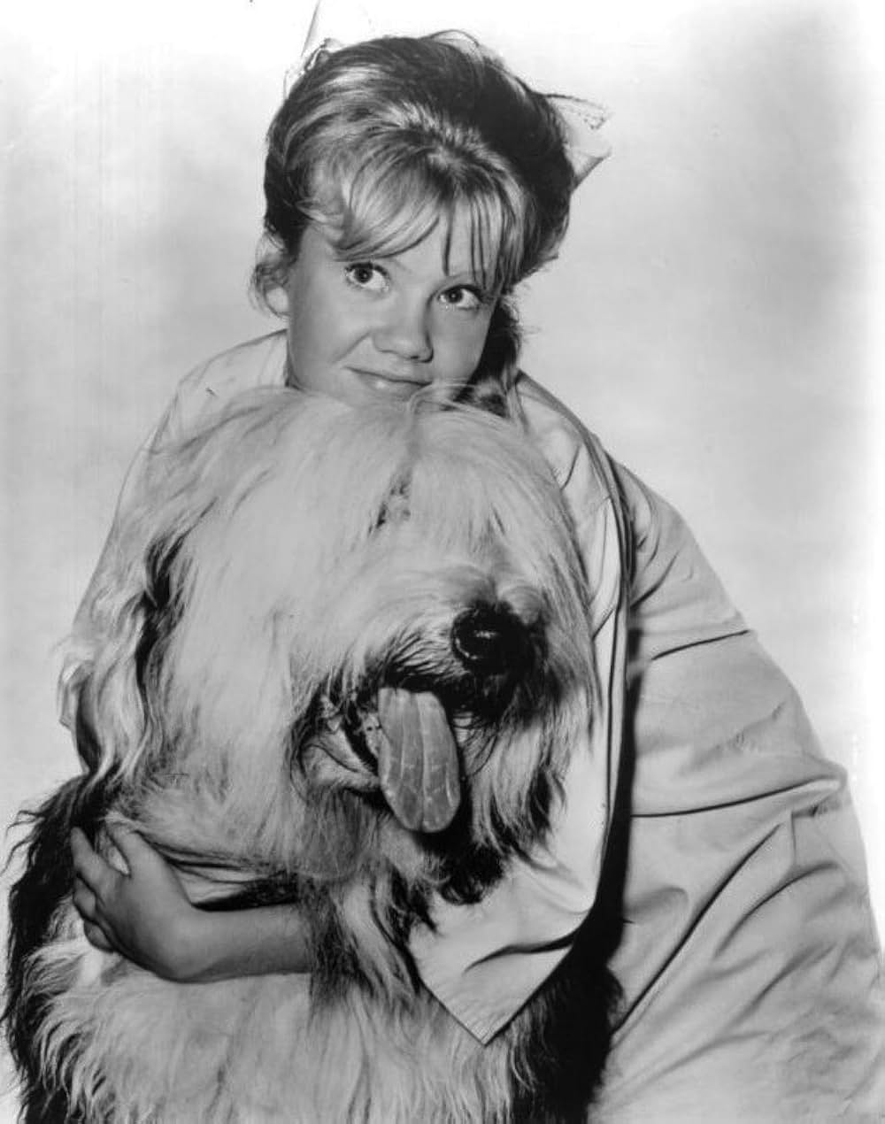 夏の魔術の画像