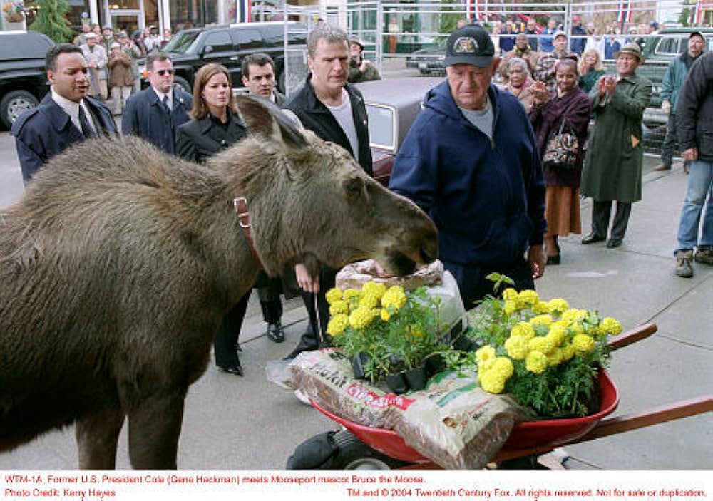 ムースポートの画像