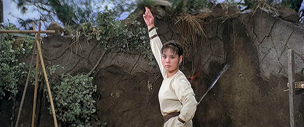 続・少林虎鶴拳 邪教逆襲の画像