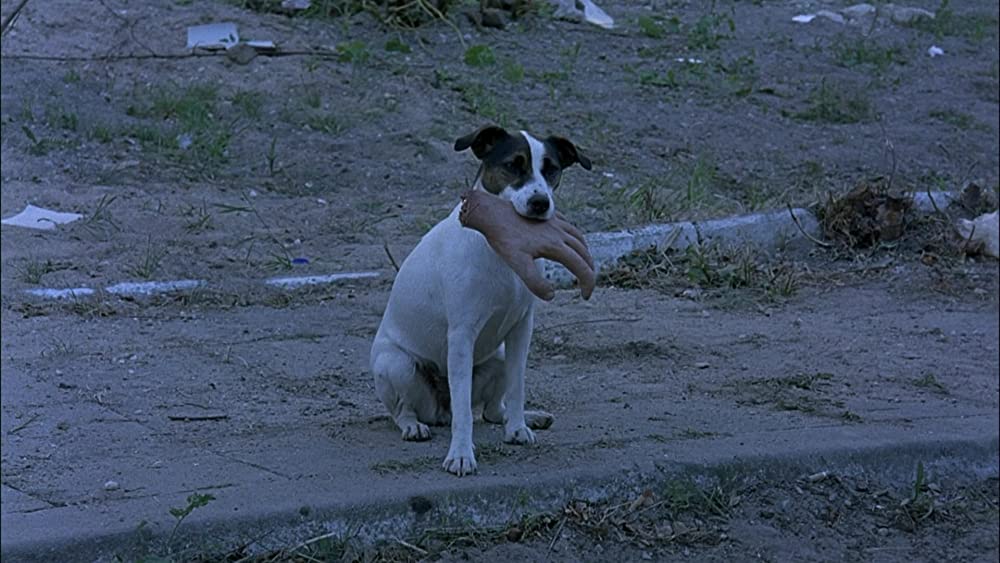 ユーロトリップの画像