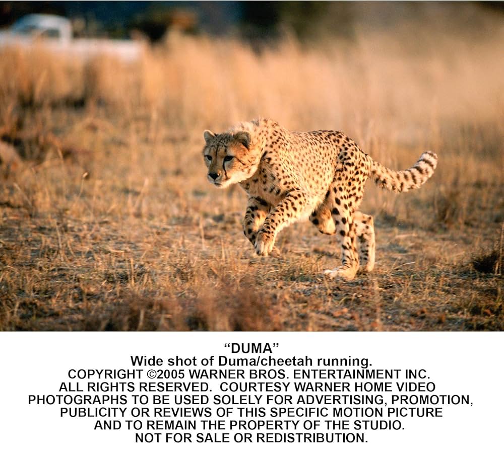 ドゥーマの画像