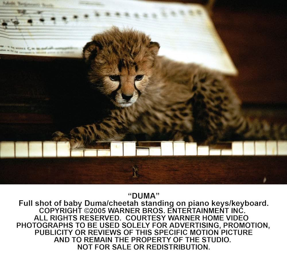 ドゥーマの画像