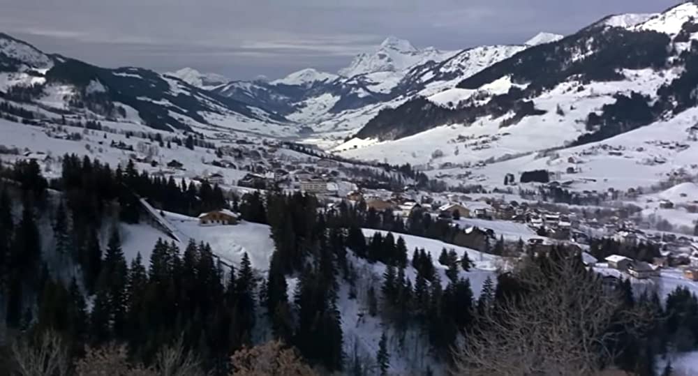 シャレードの画像