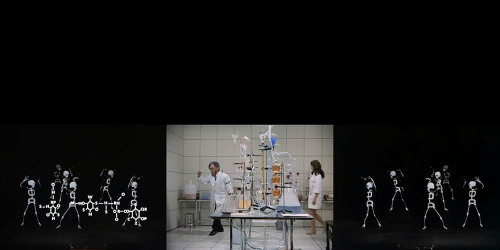 1日240時間の写真