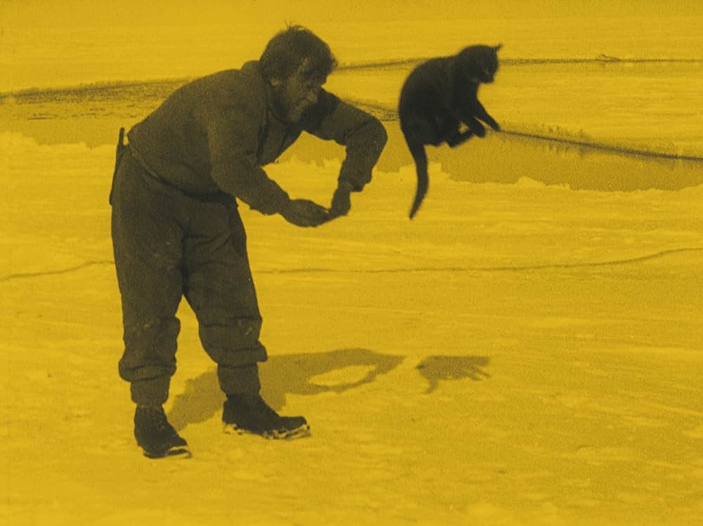 The Great White Silence（原題）の写真