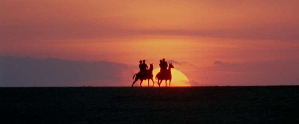知恵の木の画像