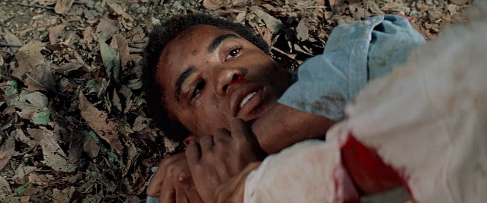 知恵の木の画像