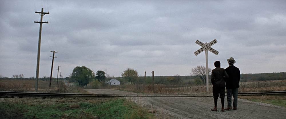 知恵の木の画像