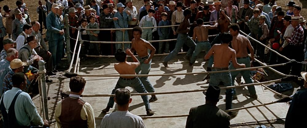 知恵の木の画像