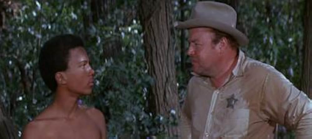 知恵の木の画像