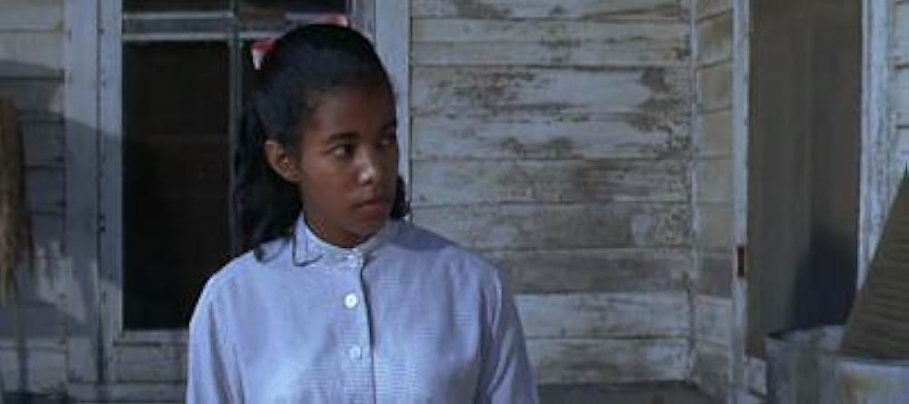 知恵の木の画像