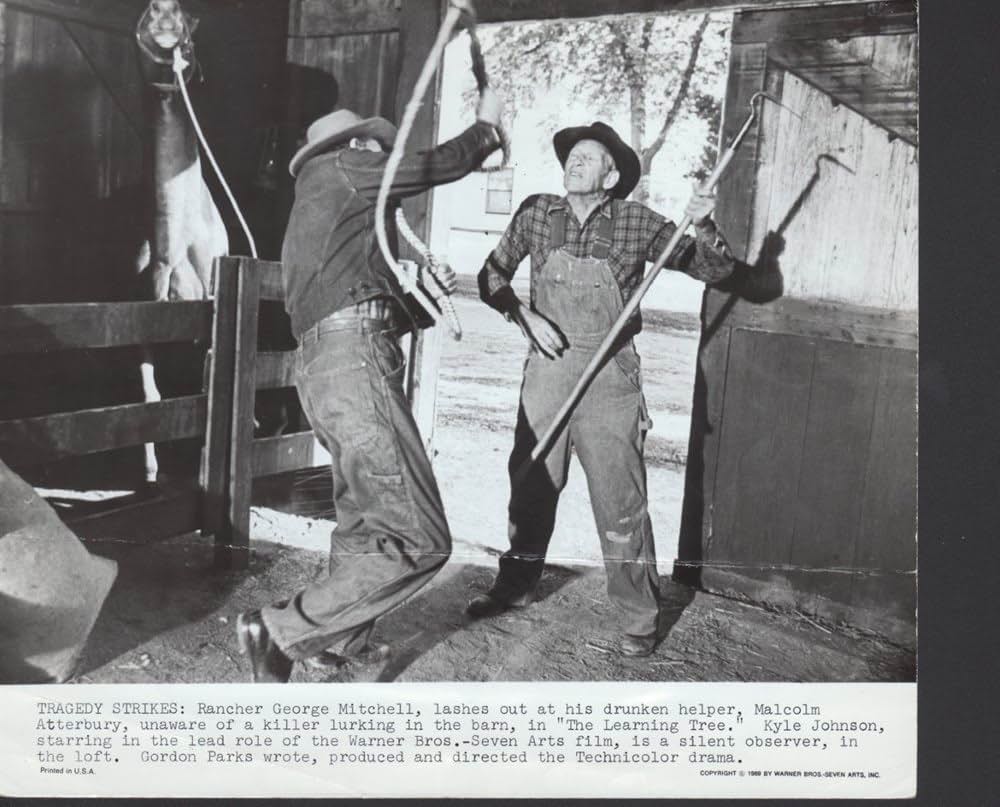 知恵の木の画像